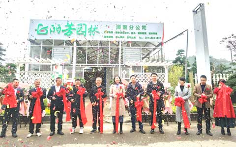 麗芳園林湖南分公司盛大開(kāi)業(yè)驶乾，征戰華中市場(chǎng)