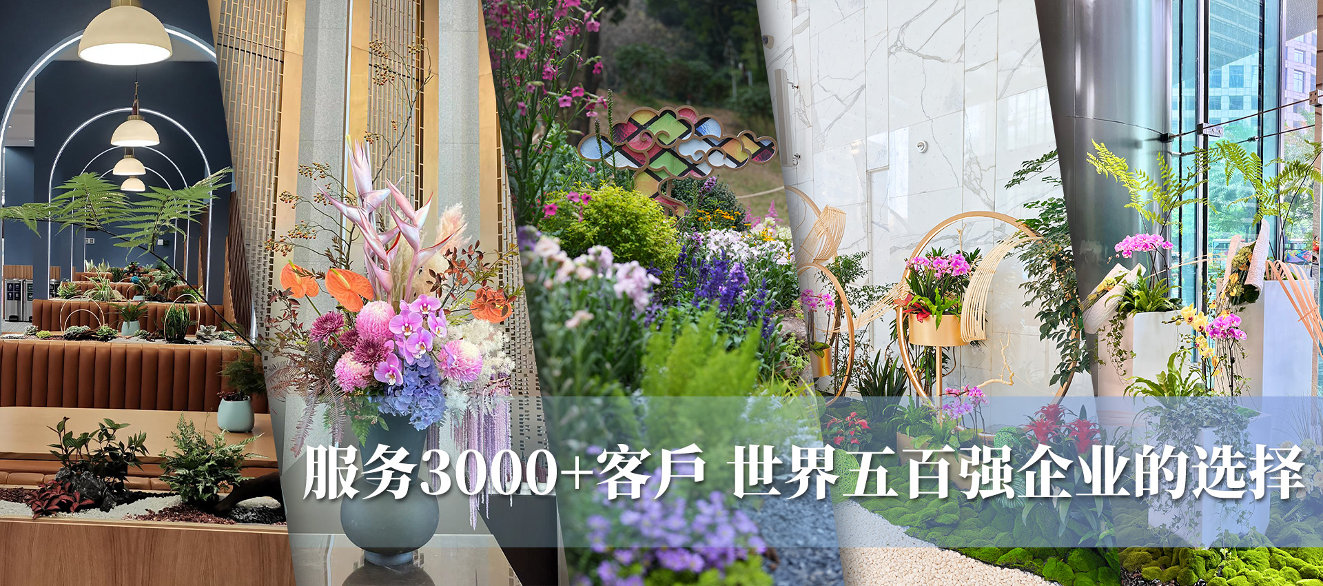 服務(wù)3000+企業(yè)