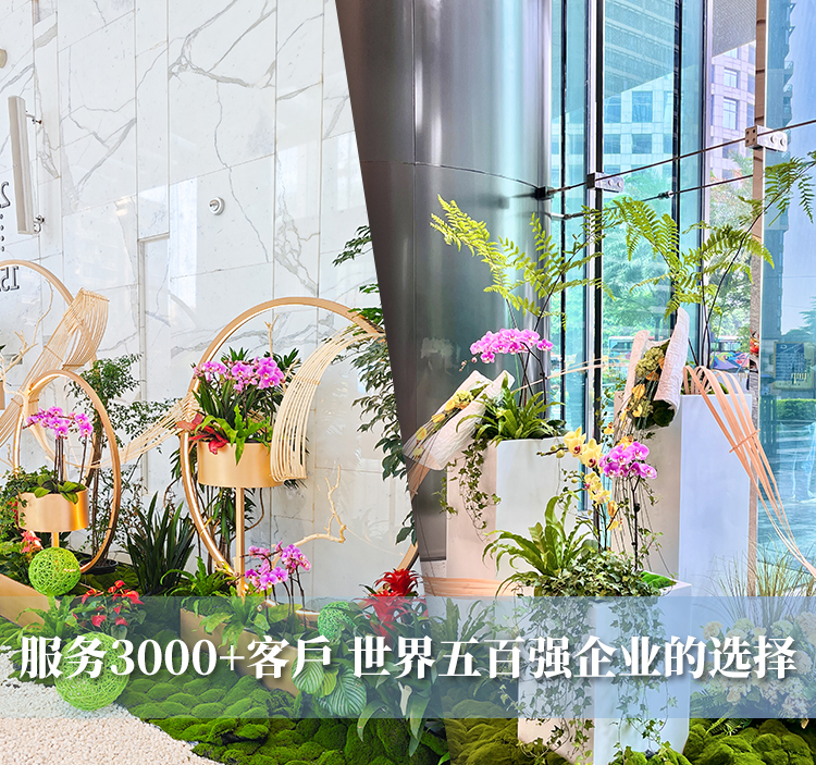 服務(wù)3000+企業(yè)