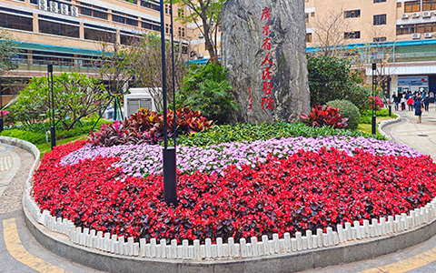 廣東省人民醫院綠化養護案例——麗芳園林賦能醫療環境升級